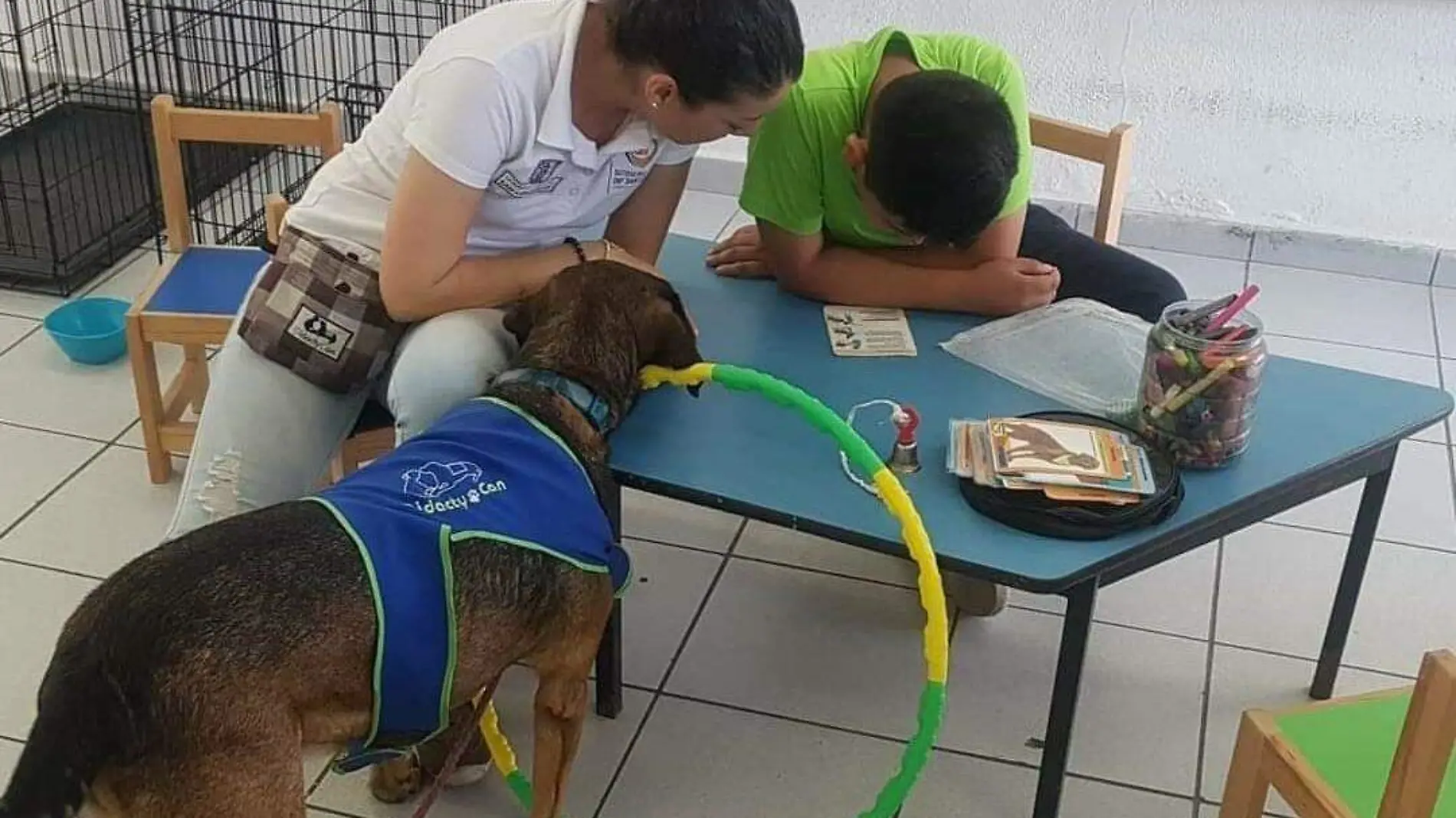 Terapia asistida con perros